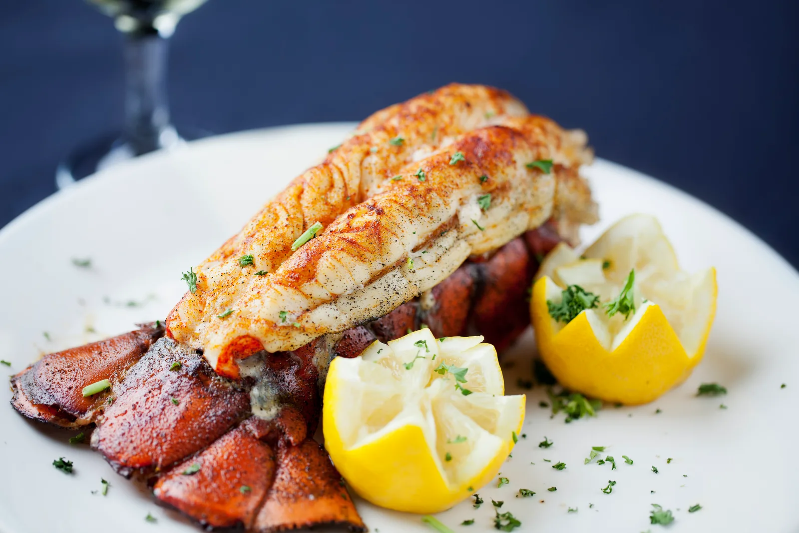 Lobster Nights